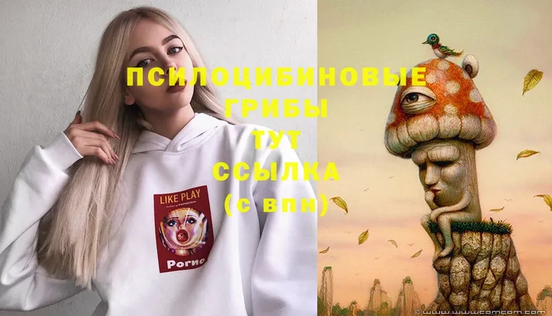 Псилоцибиновые грибы Magic Shrooms Борзя